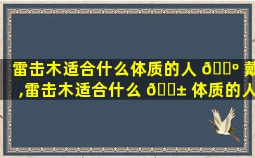 雷击木适合什么体质的人 🐺 戴,雷击木适合什么 🐱 体质的人戴呢